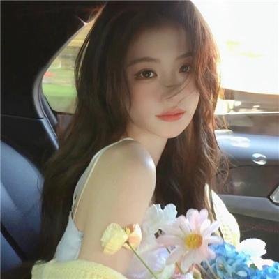 女伯爵封面